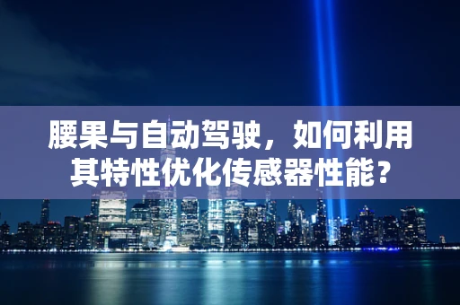 腰果与自动驾驶，如何利用其特性优化传感器性能？