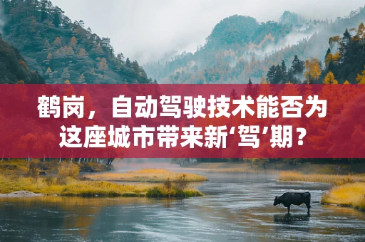鹤岗，自动驾驶技术能否为这座城市带来新‘驾’期？