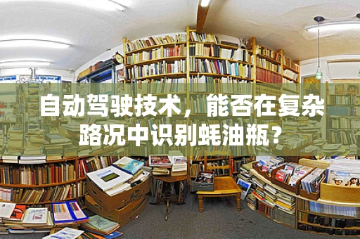 自动驾驶技术，能否在复杂路况中识别蚝油瓶？