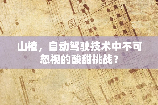 山楂，自动驾驶技术中不可忽视的酸甜挑战？