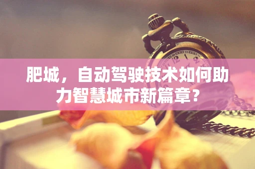 肥城，自动驾驶技术如何助力智慧城市新篇章？