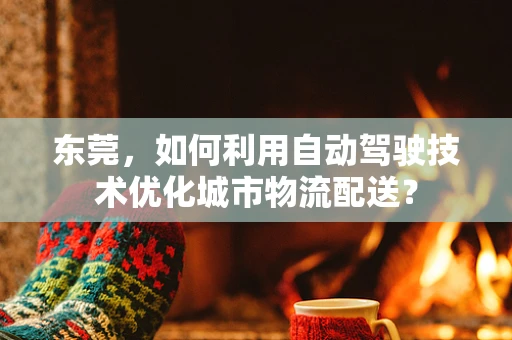 东莞，如何利用自动驾驶技术优化城市物流配送？