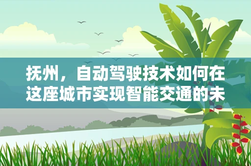 抚州，自动驾驶技术如何在这座城市实现智能交通的未来？