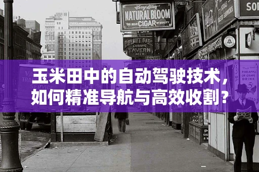 玉米田中的自动驾驶技术，如何精准导航与高效收割？