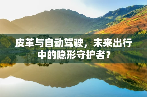 皮革与自动驾驶，未来出行中的隐形守护者？