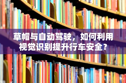 草帽与自动驾驶，如何利用视觉识别提升行车安全？