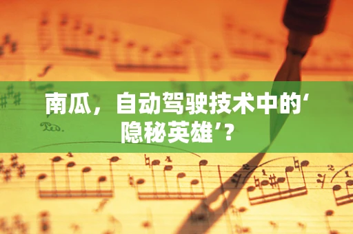 南瓜，自动驾驶技术中的‘隐秘英雄’？