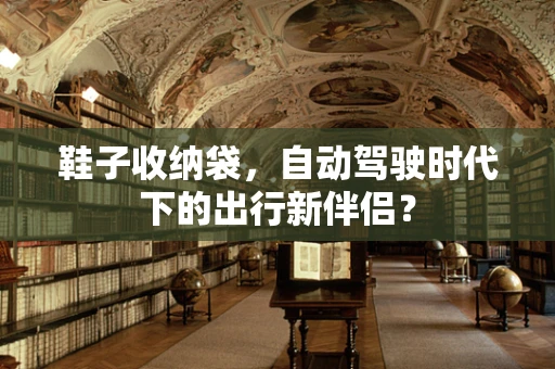 鞋子收纳袋，自动驾驶时代下的出行新伴侣？