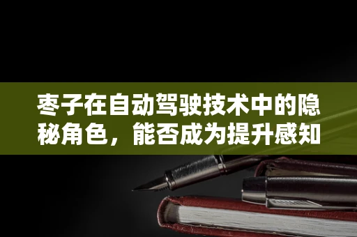 枣子在自动驾驶技术中的隐秘角色，能否成为提升感知精度的‘秘密武器’？