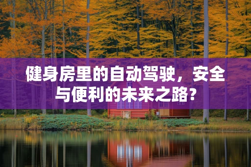 健身房里的自动驾驶，安全与便利的未来之路？