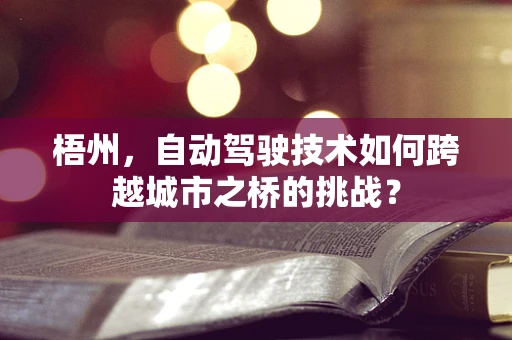 梧州，自动驾驶技术如何跨越城市之桥的挑战？
