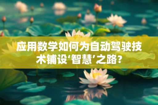 应用数学如何为自动驾驶技术铺设‘智慧’之路？