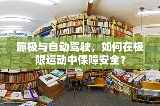 蹦极与自动驾驶，如何在极限运动中保障安全？