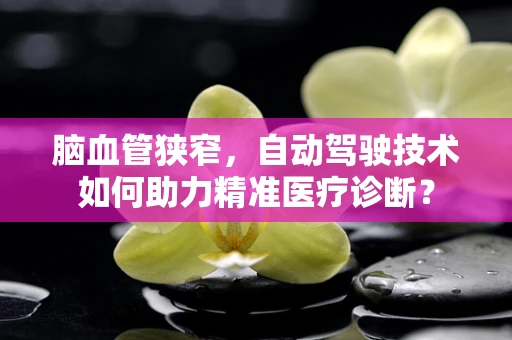 脑血管狭窄，自动驾驶技术如何助力精准医疗诊断？