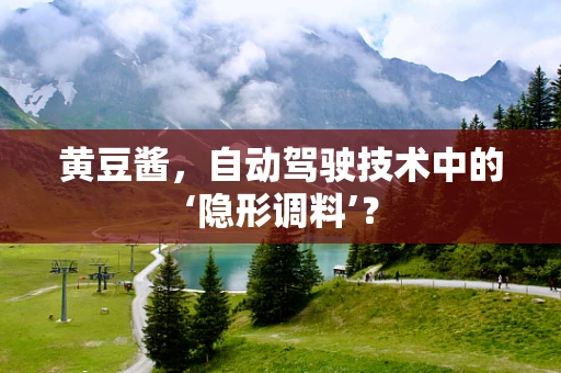 黄豆酱，自动驾驶技术中的‘隐形调料’？