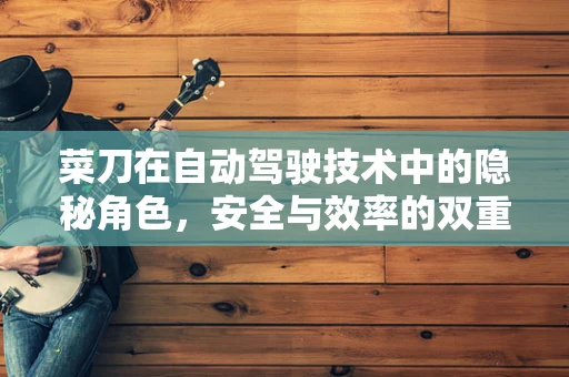 菜刀在自动驾驶技术中的隐秘角色，安全与效率的双重守护者？