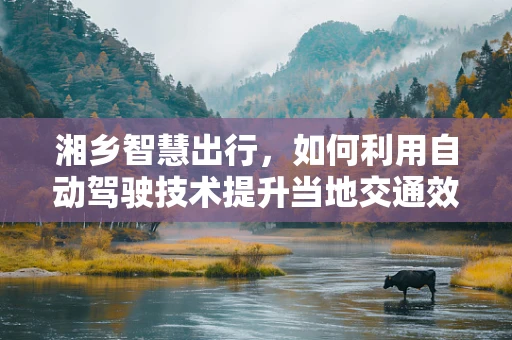 湘乡智慧出行，如何利用自动驾驶技术提升当地交通效率与安全？