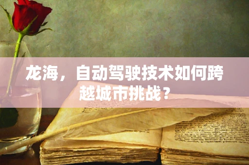 龙海，自动驾驶技术如何跨越城市挑战？