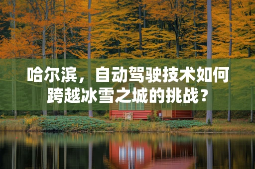 哈尔滨，自动驾驶技术如何跨越冰雪之城的挑战？