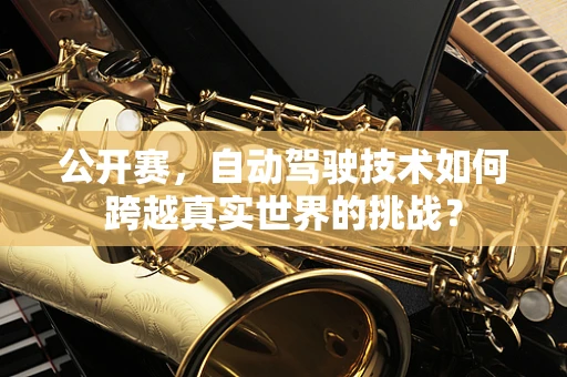 公开赛，自动驾驶技术如何跨越真实世界的挑战？