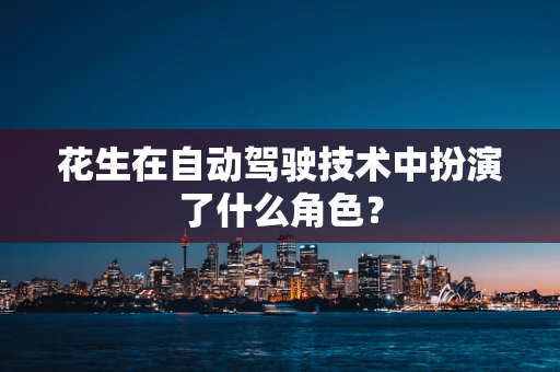 花生在自动驾驶技术中扮演了什么角色？