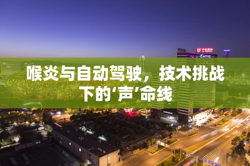 喉炎与自动驾驶，技术挑战下的‘声’命线