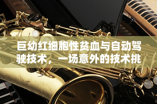 巨幼红细胞性贫血与自动驾驶技术，一场意外的技术挑战