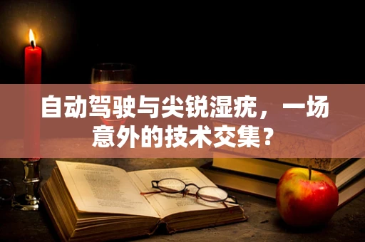 自动驾驶与尖锐湿疣，一场意外的技术交集？