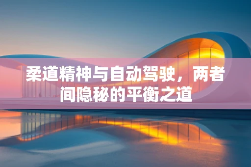 柔道精神与自动驾驶，两者间隐秘的平衡之道