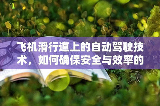 飞机滑行道上的自动驾驶技术，如何确保安全与效率的双重提升？
