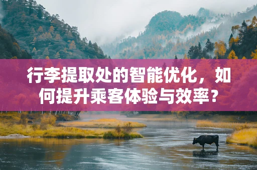 行李提取处的智能优化，如何提升乘客体验与效率？