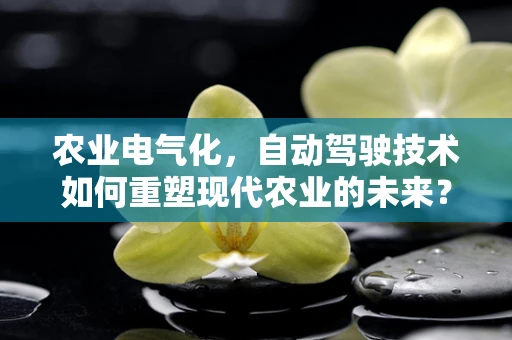 农业电气化，自动驾驶技术如何重塑现代农业的未来？