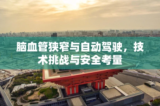 脑血管狭窄与自动驾驶，技术挑战与安全考量