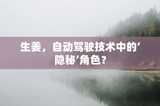 生姜，自动驾驶技术中的‘隐秘’角色？