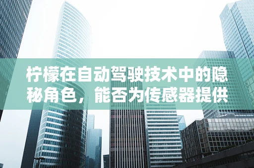 柠檬在自动驾驶技术中的隐秘角色，能否为传感器提供‘清新’的校准？