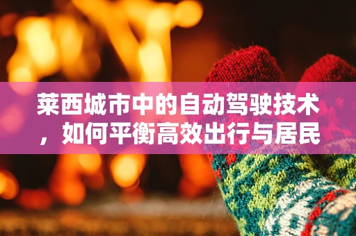 莱西城市中的自动驾驶技术，如何平衡高效出行与居民隐私？