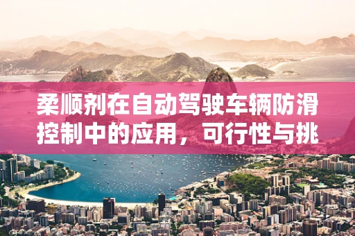 柔顺剂在自动驾驶车辆防滑控制中的应用，可行性与挑战？