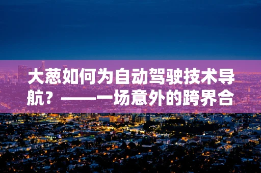 大葱如何为自动驾驶技术导航？——一场意外的跨界合作
