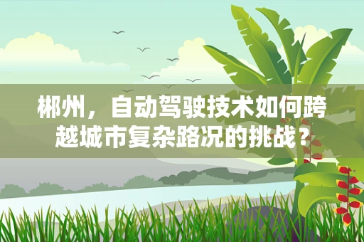 郴州，自动驾驶技术如何跨越城市复杂路况的挑战？