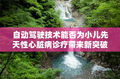 自动驾驶技术能否为小儿先天性心脏病诊疗带来新突破？