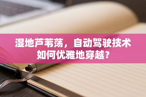 湿地芦苇荡，自动驾驶技术如何优雅地穿越？