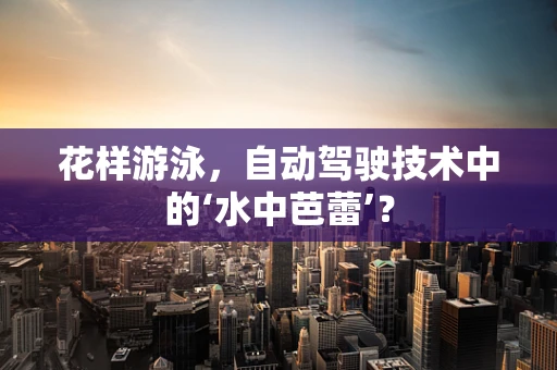 花样游泳，自动驾驶技术中的‘水中芭蕾’？