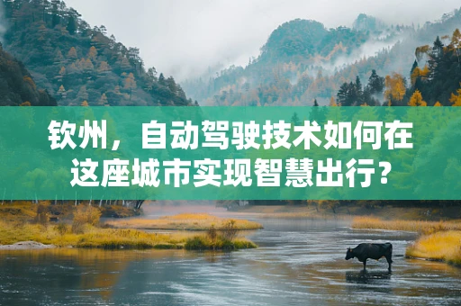 钦州，自动驾驶技术如何在这座城市实现智慧出行？
