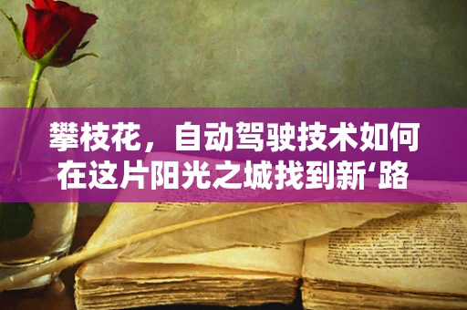 攀枝花，自动驾驶技术如何在这片阳光之城找到新‘路’？