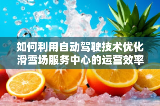 如何利用自动驾驶技术优化滑雪场服务中心的运营效率？