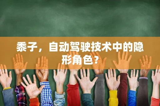 黍子，自动驾驶技术中的隐形角色？