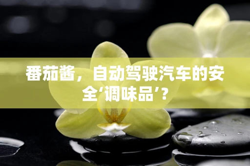 番茄酱，自动驾驶汽车的安全‘调味品’？