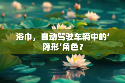 浴巾，自动驾驶车辆中的‘隐形’角色？