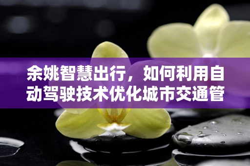余姚智慧出行，如何利用自动驾驶技术优化城市交通管理？