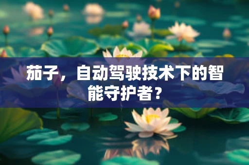 茄子，自动驾驶技术下的智能守护者？